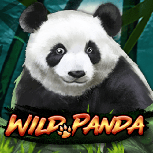 Bamboo Panda
